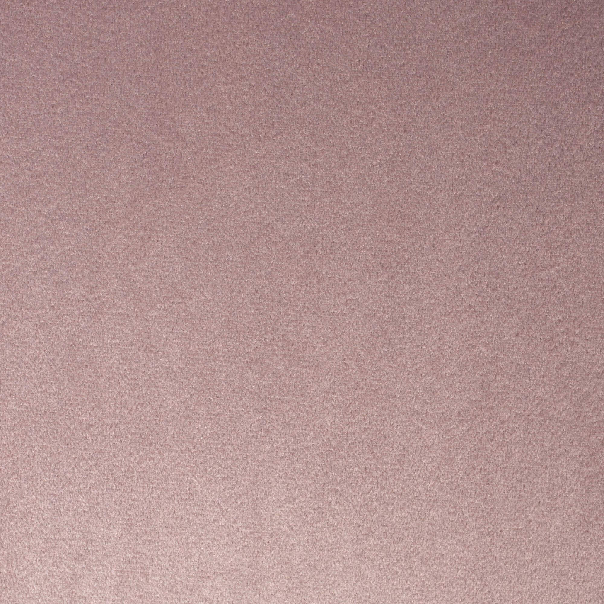 chaise brit - rose poudré 8 chaise brit - rose poudré – image 8