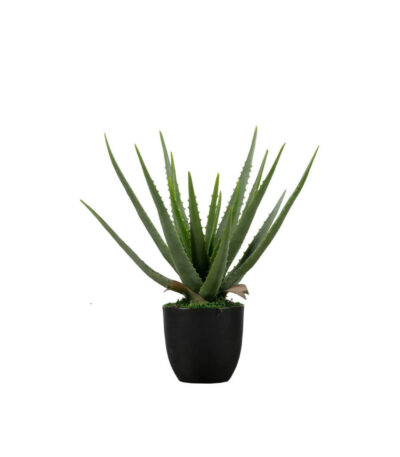 Aloe Vera artificielle - H 46 cm