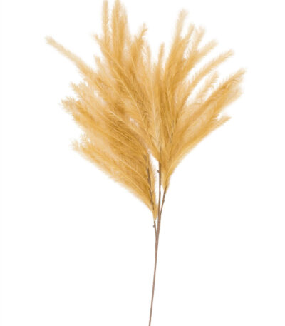 Plumes I will never fade flower - Moutarde - XL