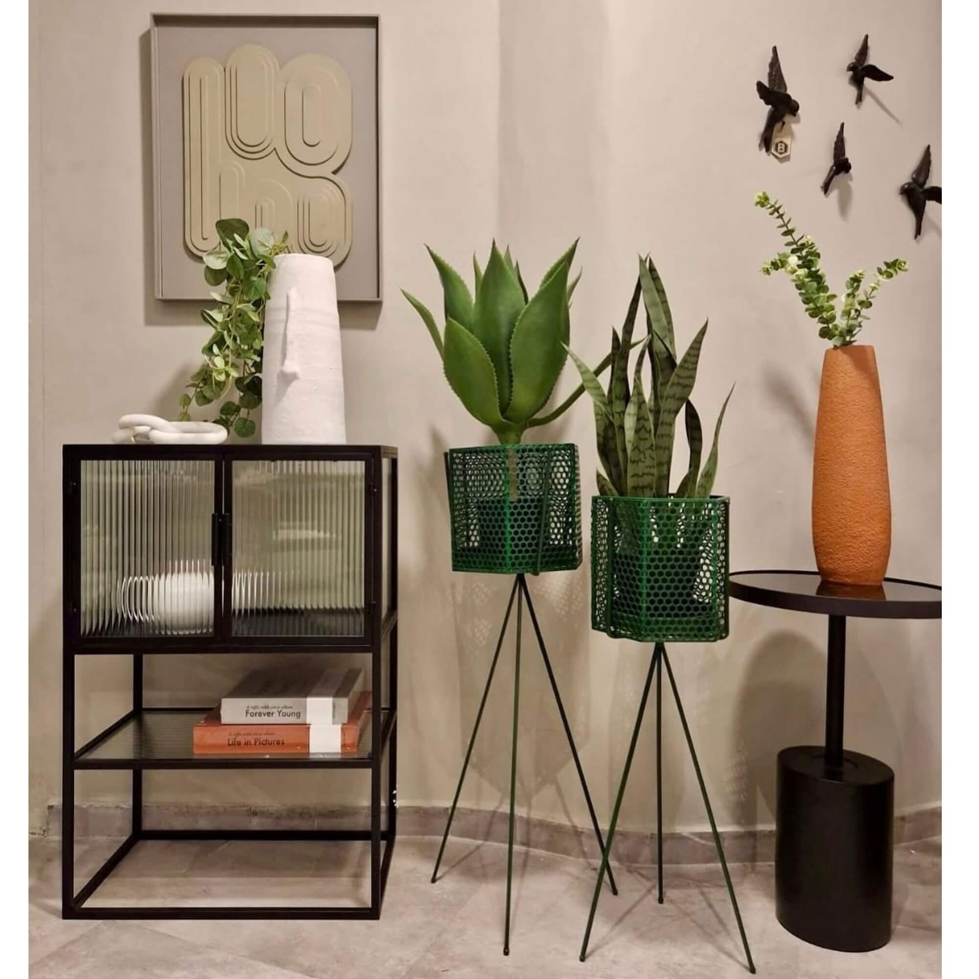 vitrine boli - l 60 x h 90 cm 2 vitrine boli - l 60 x h 90 cm – image 2