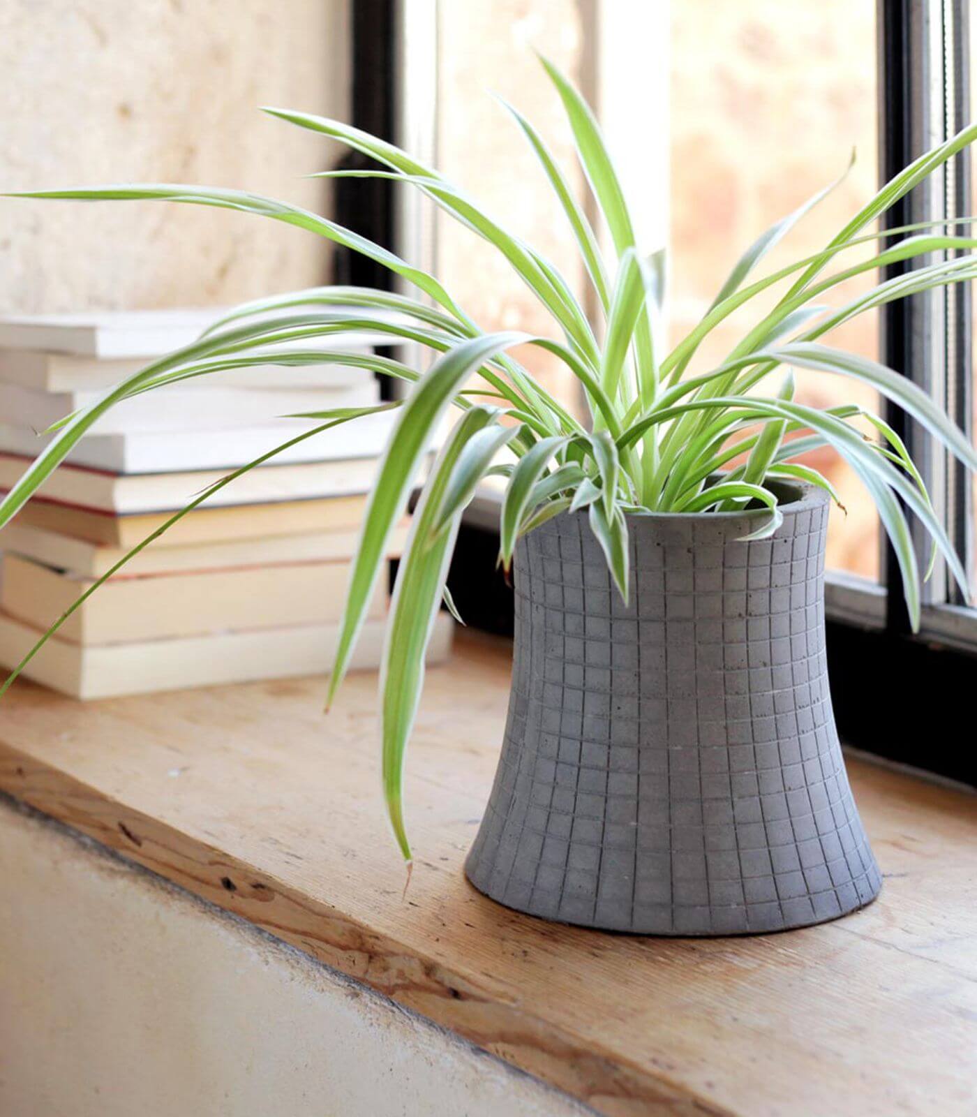 urban garden - nuclear plant flower pot - s - lyon beton 2 urban garden - nuclear plant flower pot - s - lyon beton – image 2