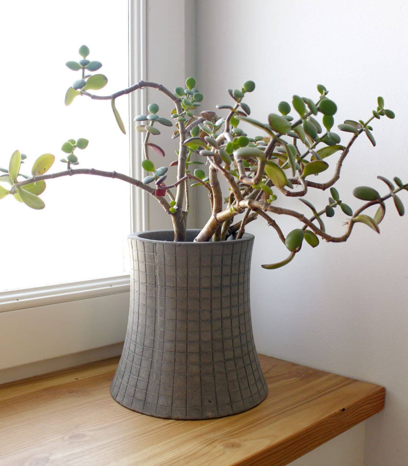 urban garden - nuclear plant flower pot - s - lyon beton 3 urban garden - nuclear plant flower pot - s - lyon beton – image 3