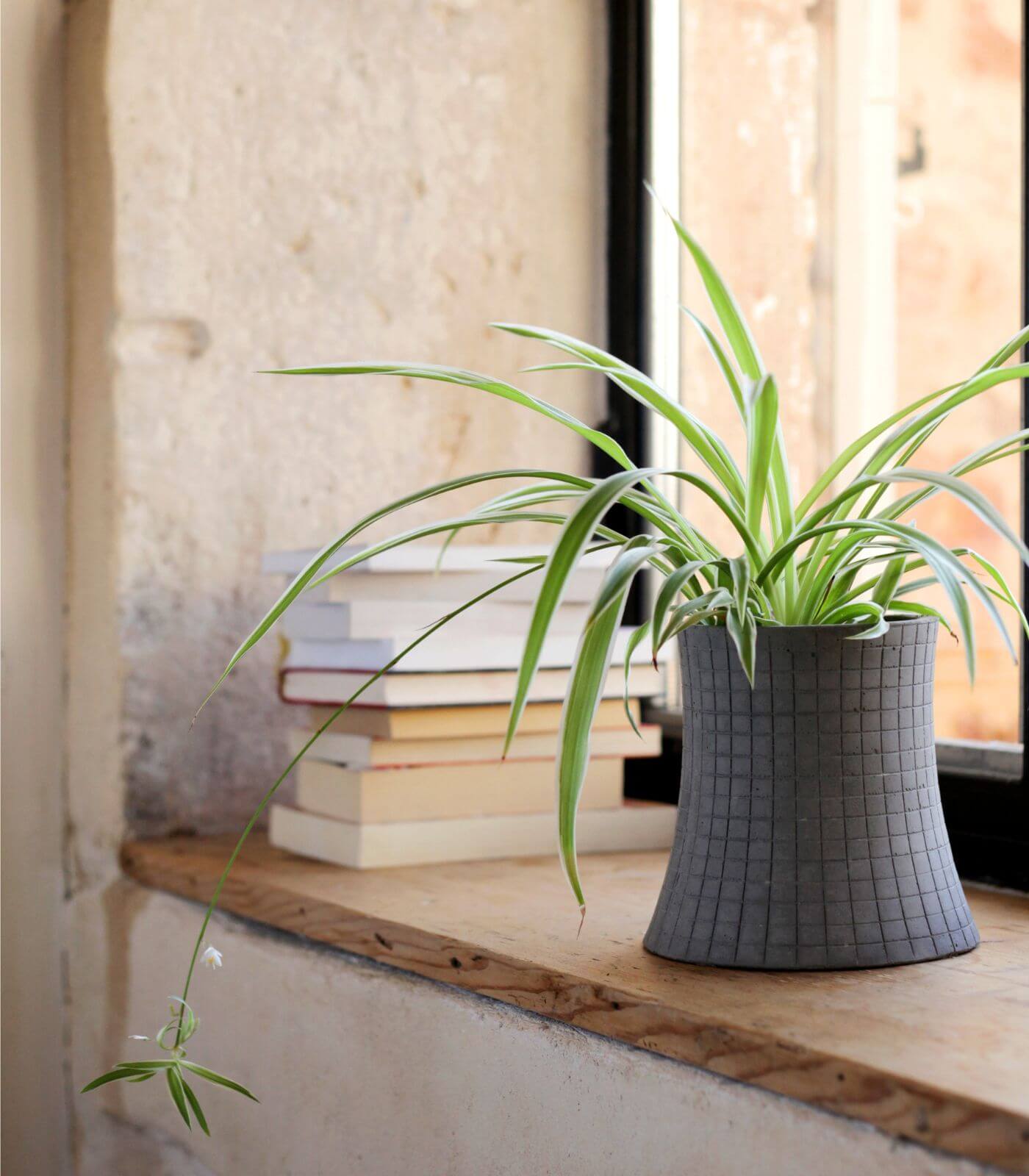 urban garden - nuclear plant flower pot - s - lyon beton 4 urban garden - nuclear plant flower pot - s - lyon beton – image 4