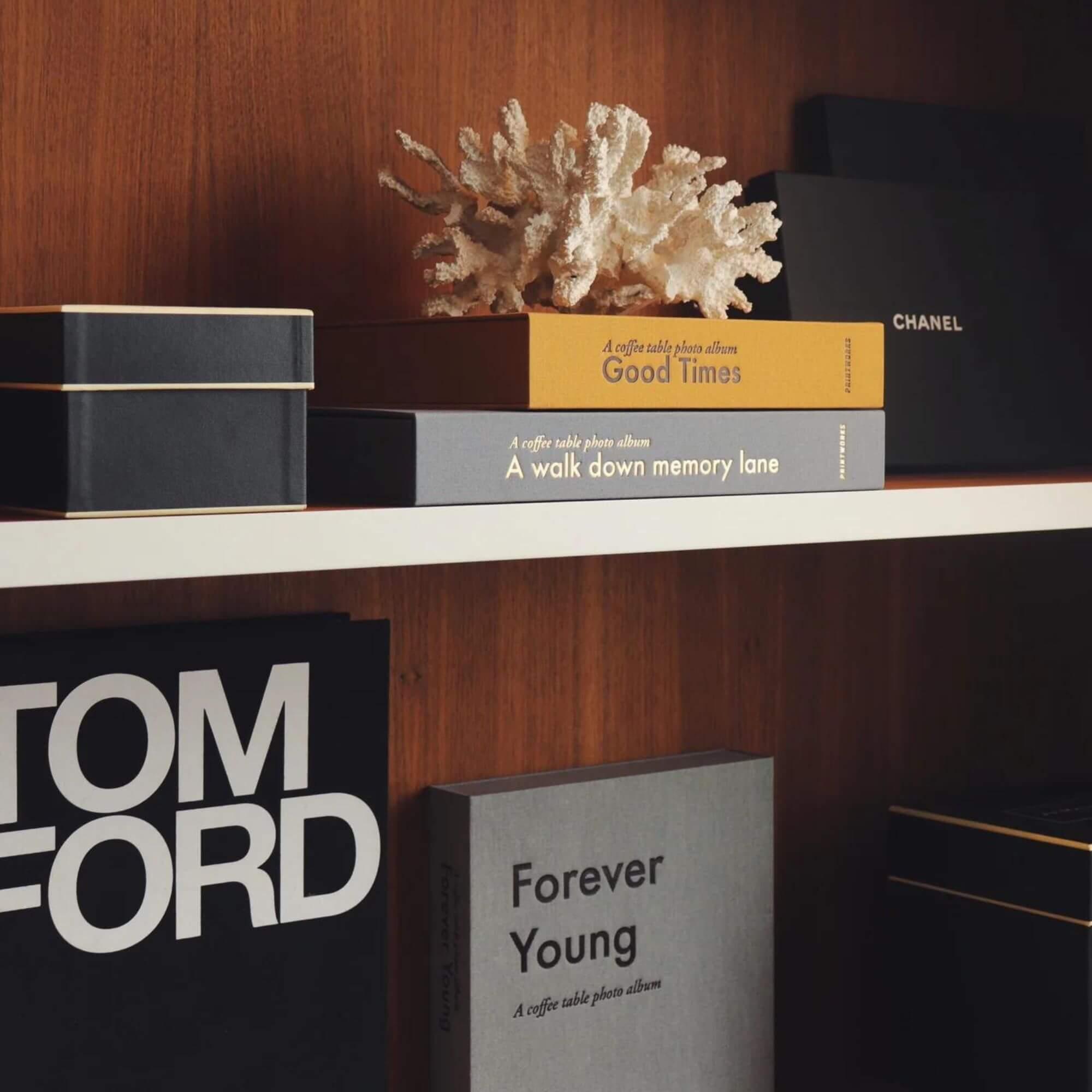 album photo - forever young 8 album photo - forever young – image 8