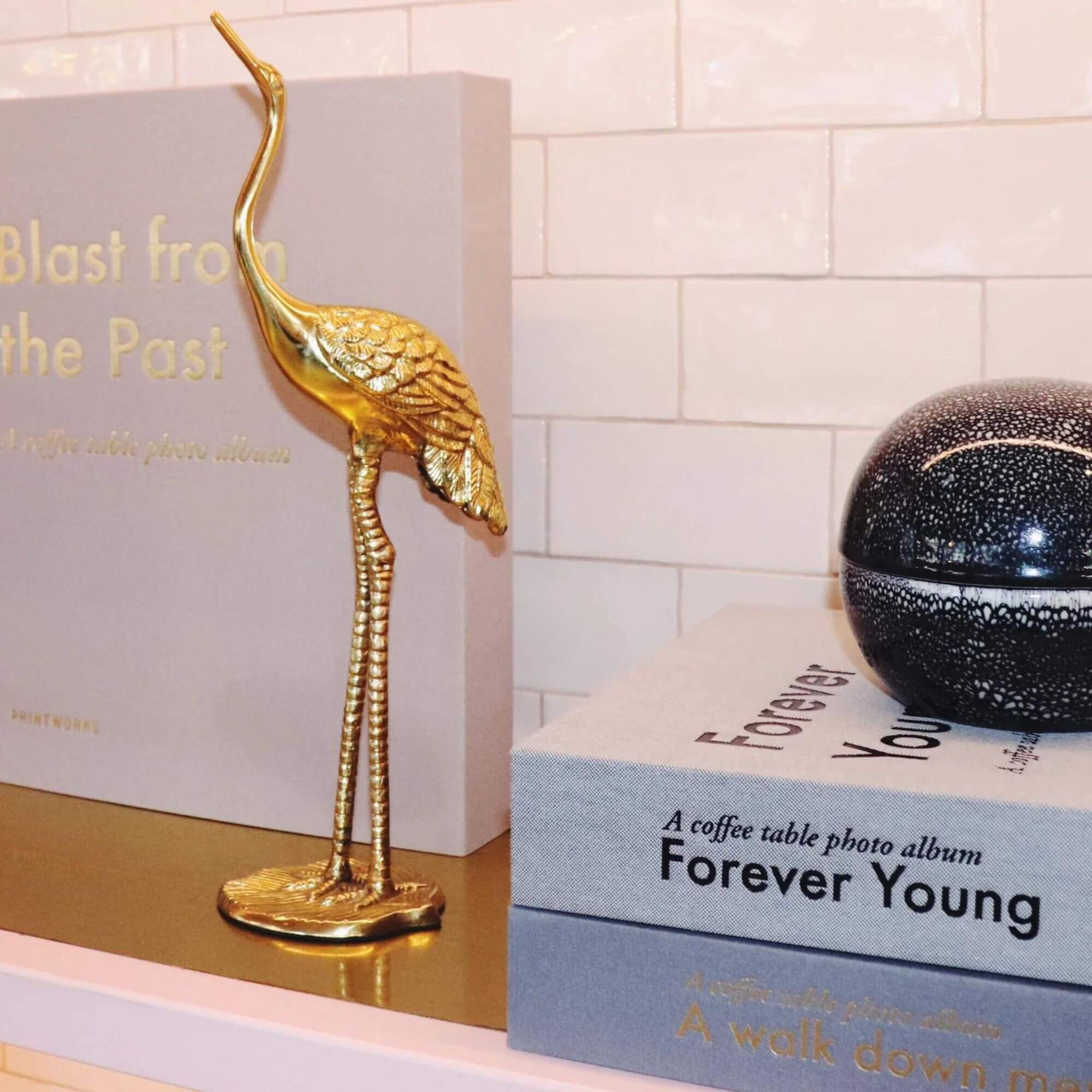 album photo - forever young 3 album photo - forever young – image 3