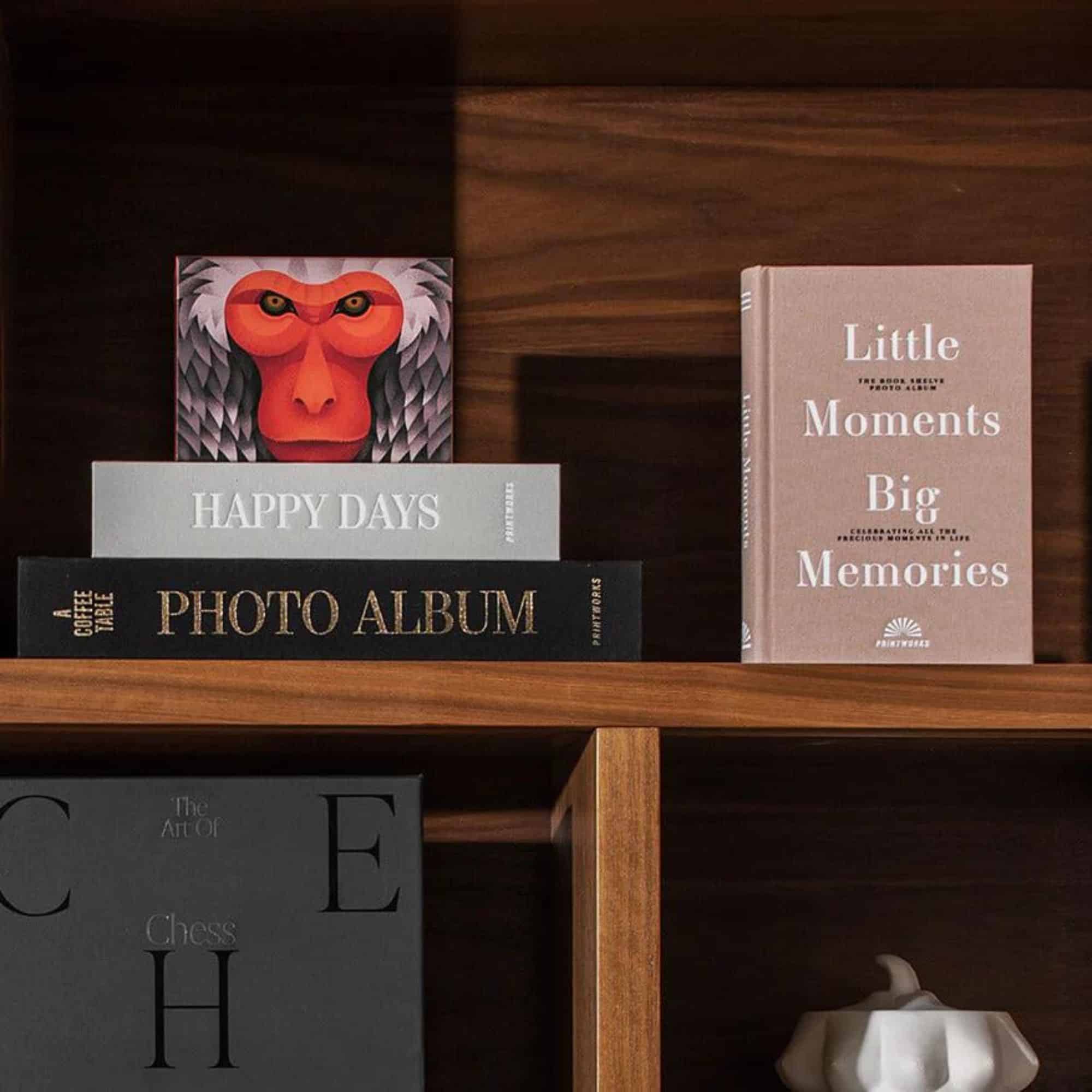 album photo - little moments big memories 11 album photo - little moments big memories – image 11