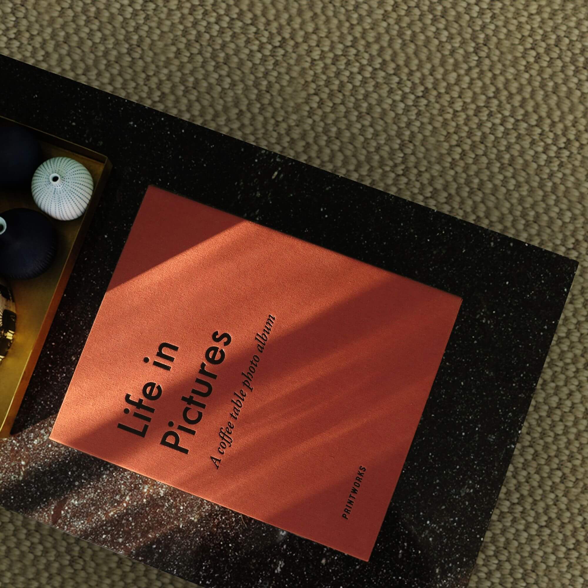 album photo - life in pictures 5 album photo - life in pictures – image 5