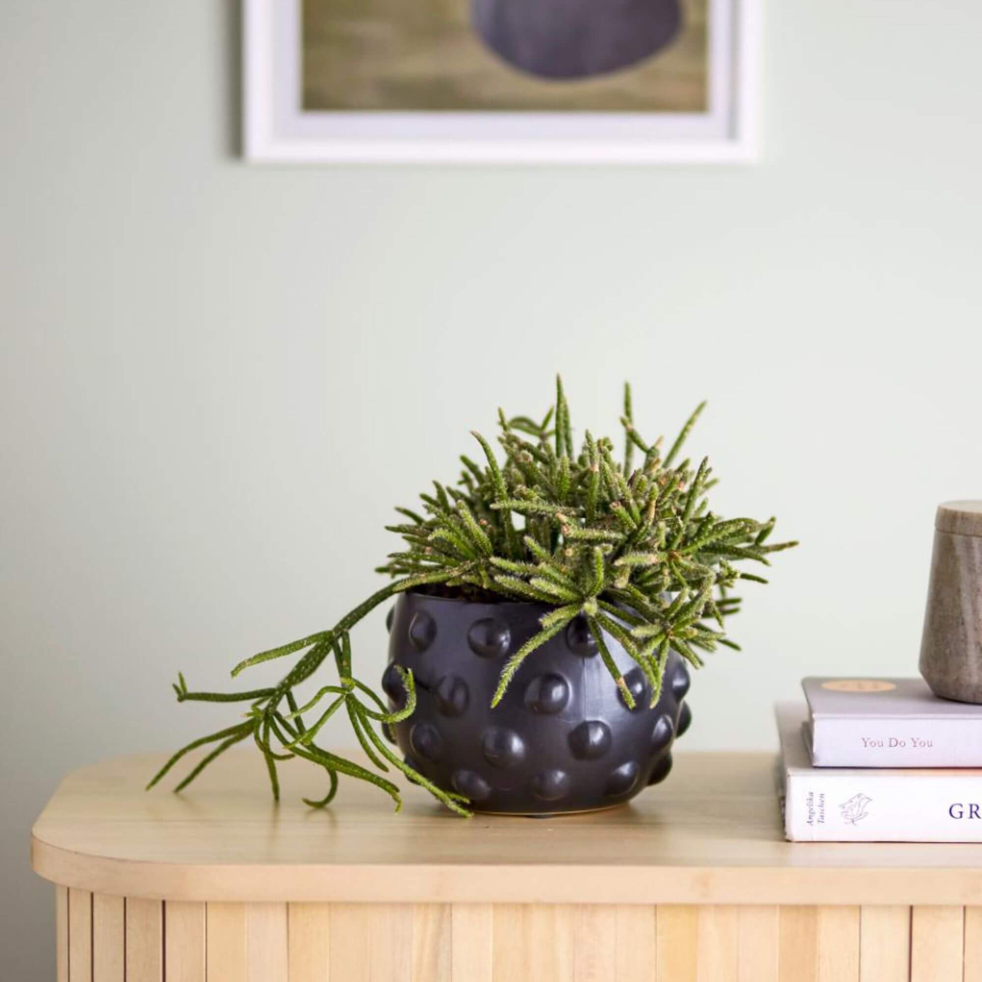 pot de fleurs parvin - ø 16,5 x h 11 cm 2 pot de fleurs parvin - ø 16,5 x h 11 cm – image 2