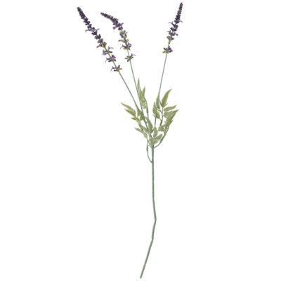 Tige Lavender - Ø 9,5 x H 65,5 cm