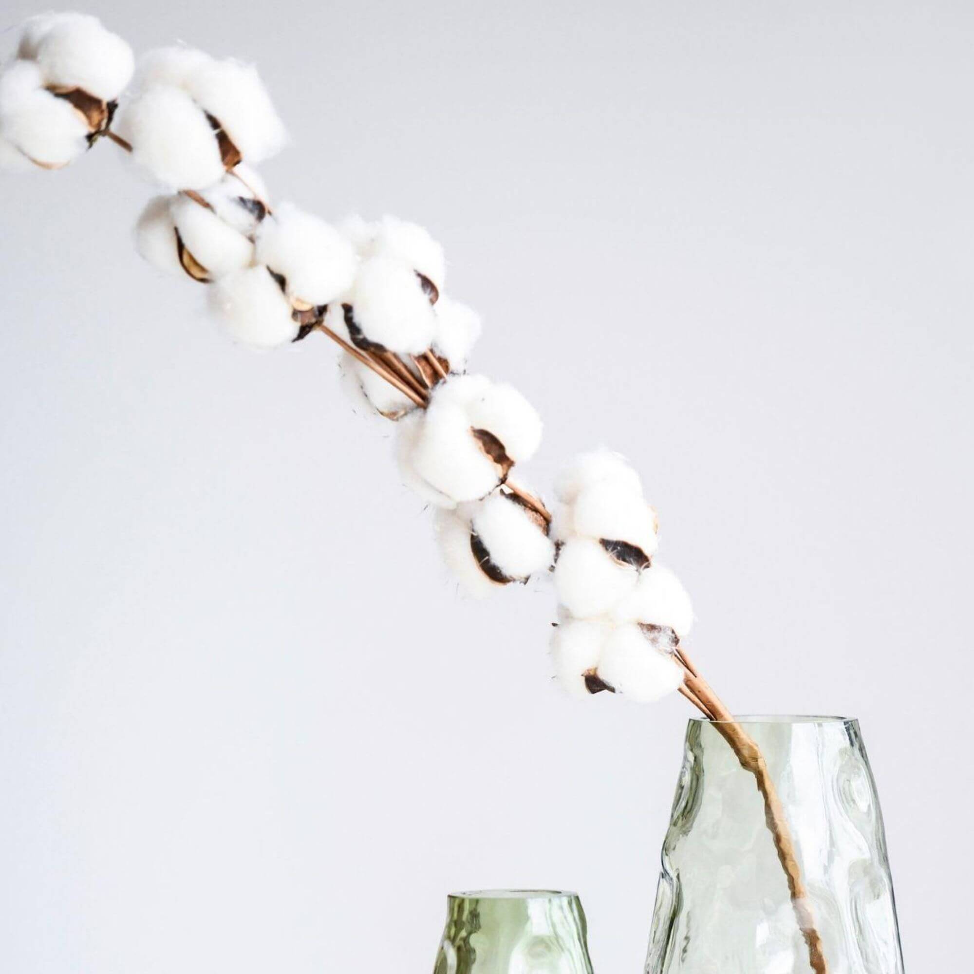 branche coton - h 70 cm 3 branche coton - h 70 cm – image 3