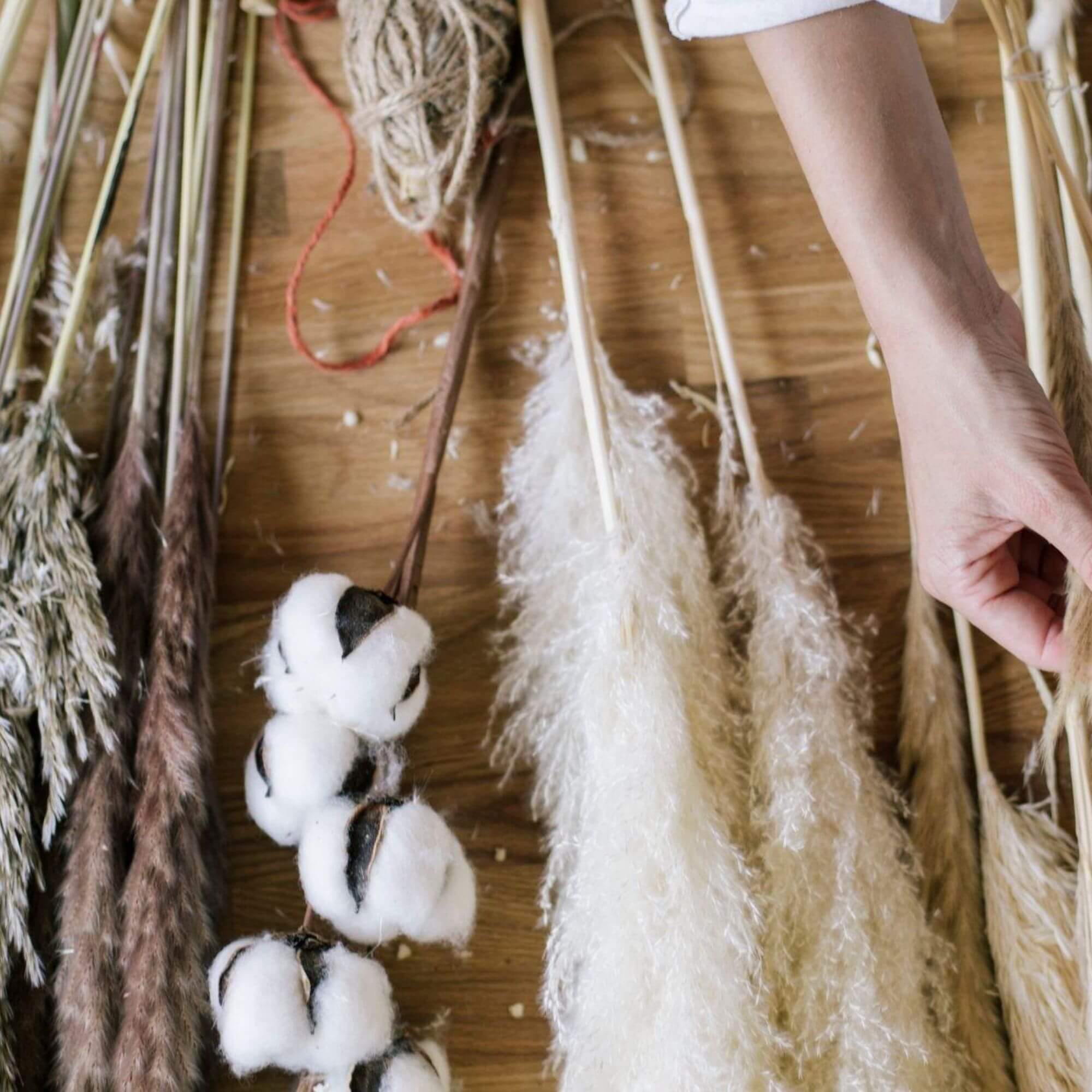 branche coton - h 70 cm 4 branche coton - h 70 cm – image 4