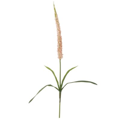 Tige Foxtail - Ø 15 x H 73 cm