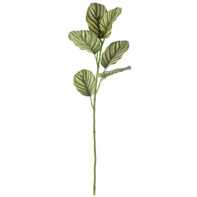 Tige Zebra - Ø 20 x H 79 cm