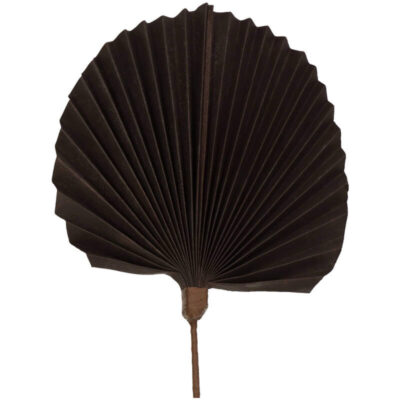 Branche Palm - Marron - H 55 x L 22 cm