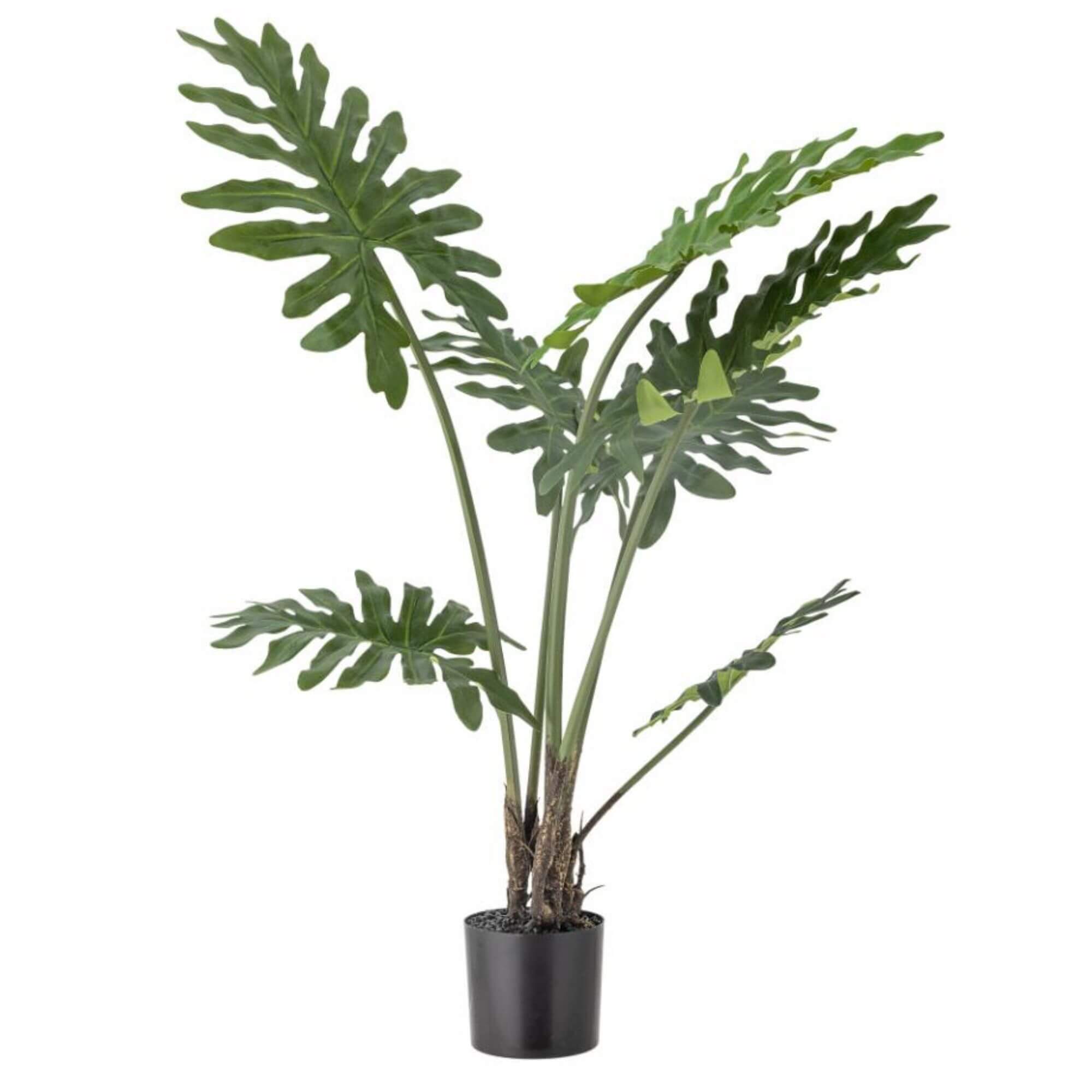 plante philodendron - ø 16 x h 84 cm 1 plante philodendron - ø 16 x h 84 cm