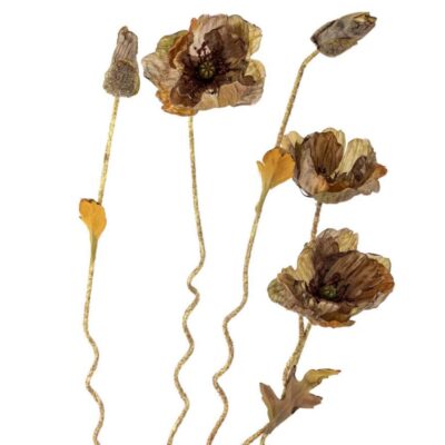 home 23 tige poppy - marron - ø 16 x h 104 cm