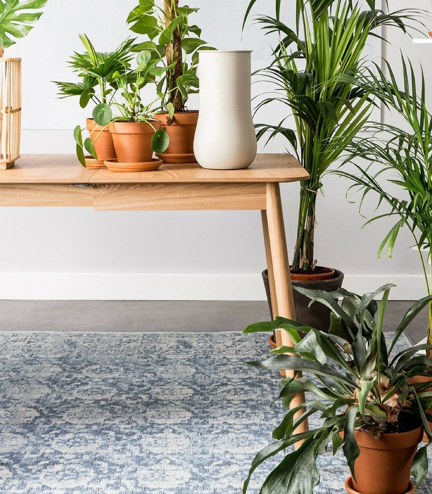tapis malva - denim - 170 x 240 cm 3 tapis malva - denim - 170 x 240 cm – image 3