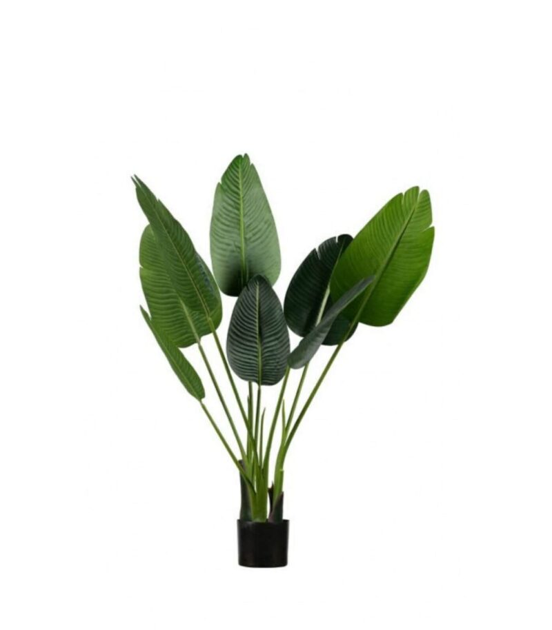 Strelitzia artificiel - H 108 cm