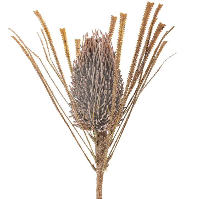 Tige PalmFlower - Ø 21 x H 72 cm – Image 6