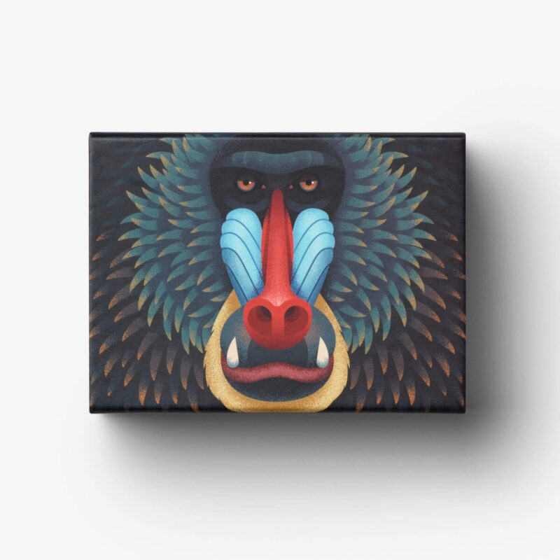 Puzzle Mandrill – 100 pièces