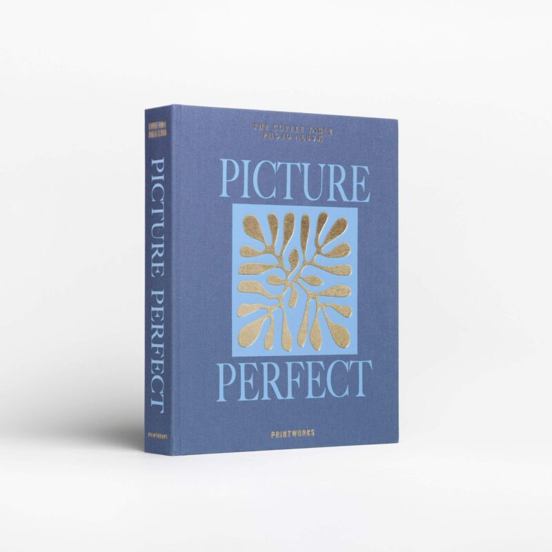 Album Photo - Picture Perfect - Bleu