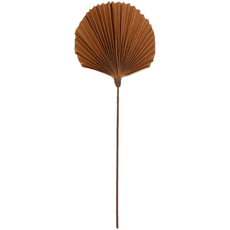 Branche Palm - Terra - H 55 x L 22 cm – Image 4