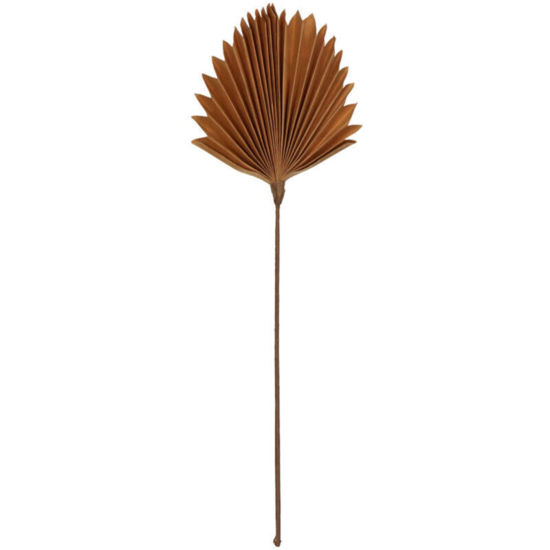 Branche Palm - Terra - H 55 x L 22 cm – Image 4