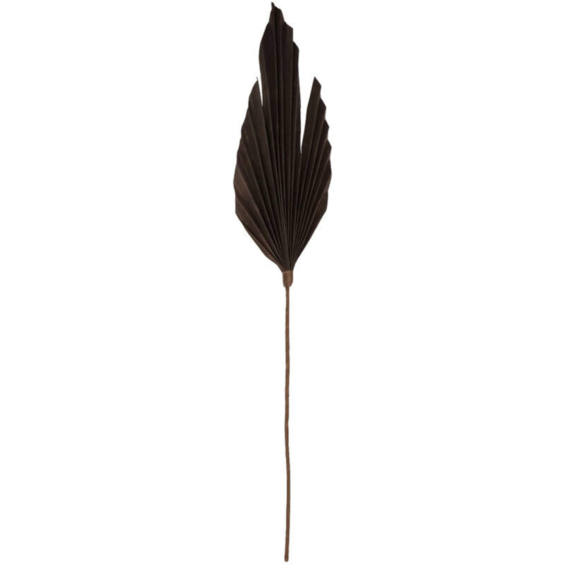 Branche Palm - Marron - H 86 x L 18 cm – Image 4