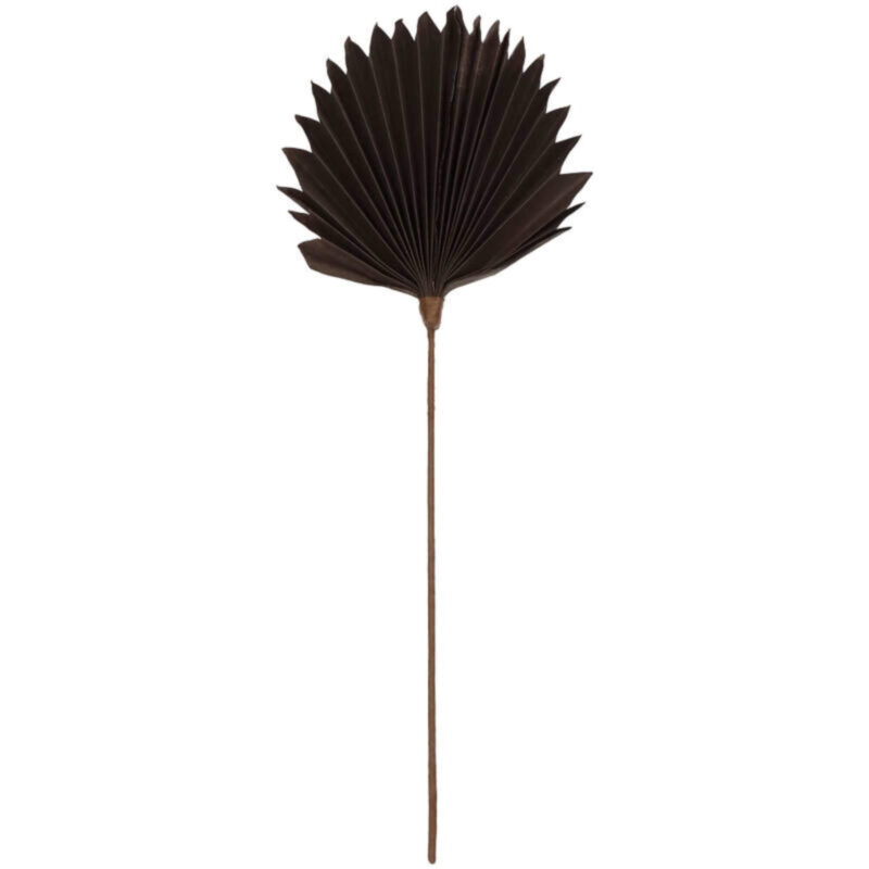 Branche Palm - Marron - H 55 x L 22 cm – Image 4