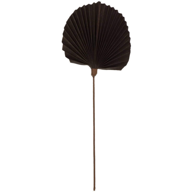 Branche Palm - Marron - H 55 x L 22 cm – Image 4