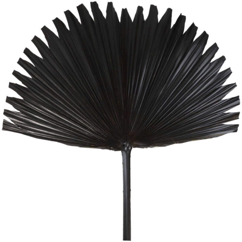 Branche Palm Aloha - Noir -  L 50 x H 96 cm