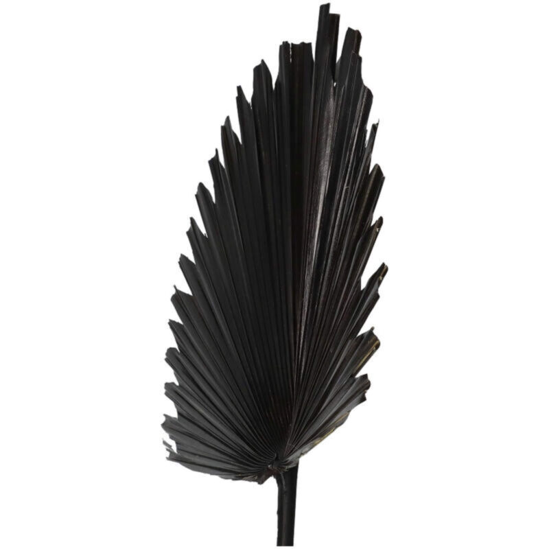 Branche Palm Aloha - Noir -  L 50 x H 96 cm – Image 2