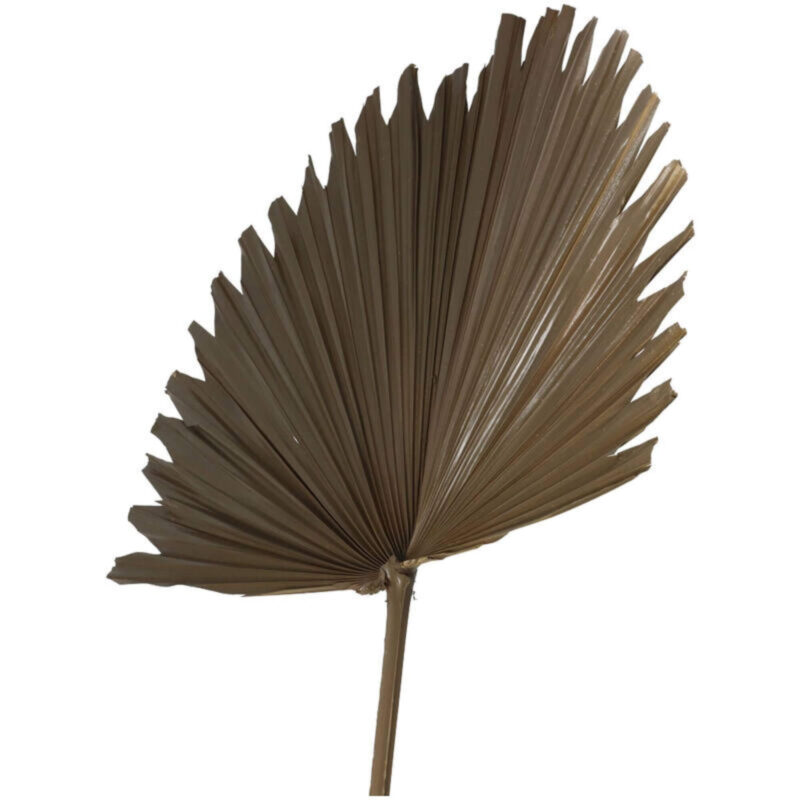 Branche Palm Aloha - Taupe -  L 50 x H 96 cm – Image 2