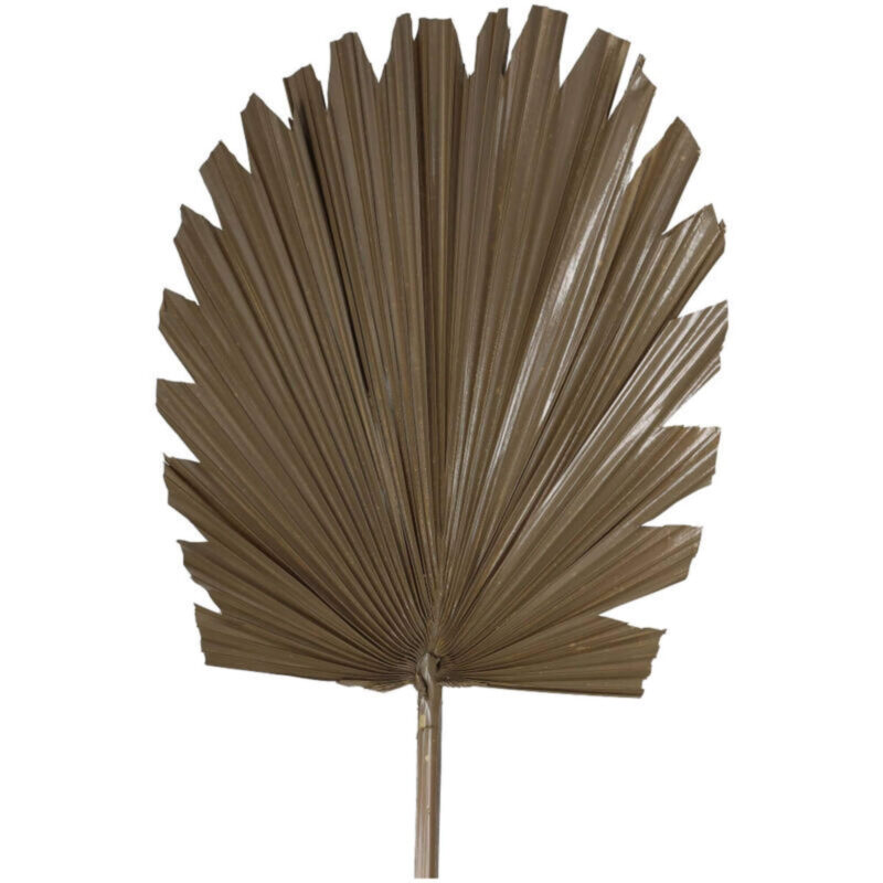 Branche Palm Aloha - Marron -  L 32 x H 80 cm – Image 2