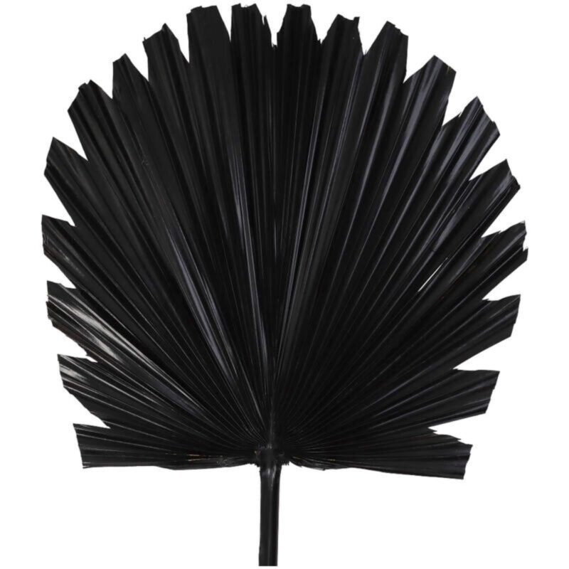 Branche Palm Aloha - Noir -  L 32 x H 80 cm