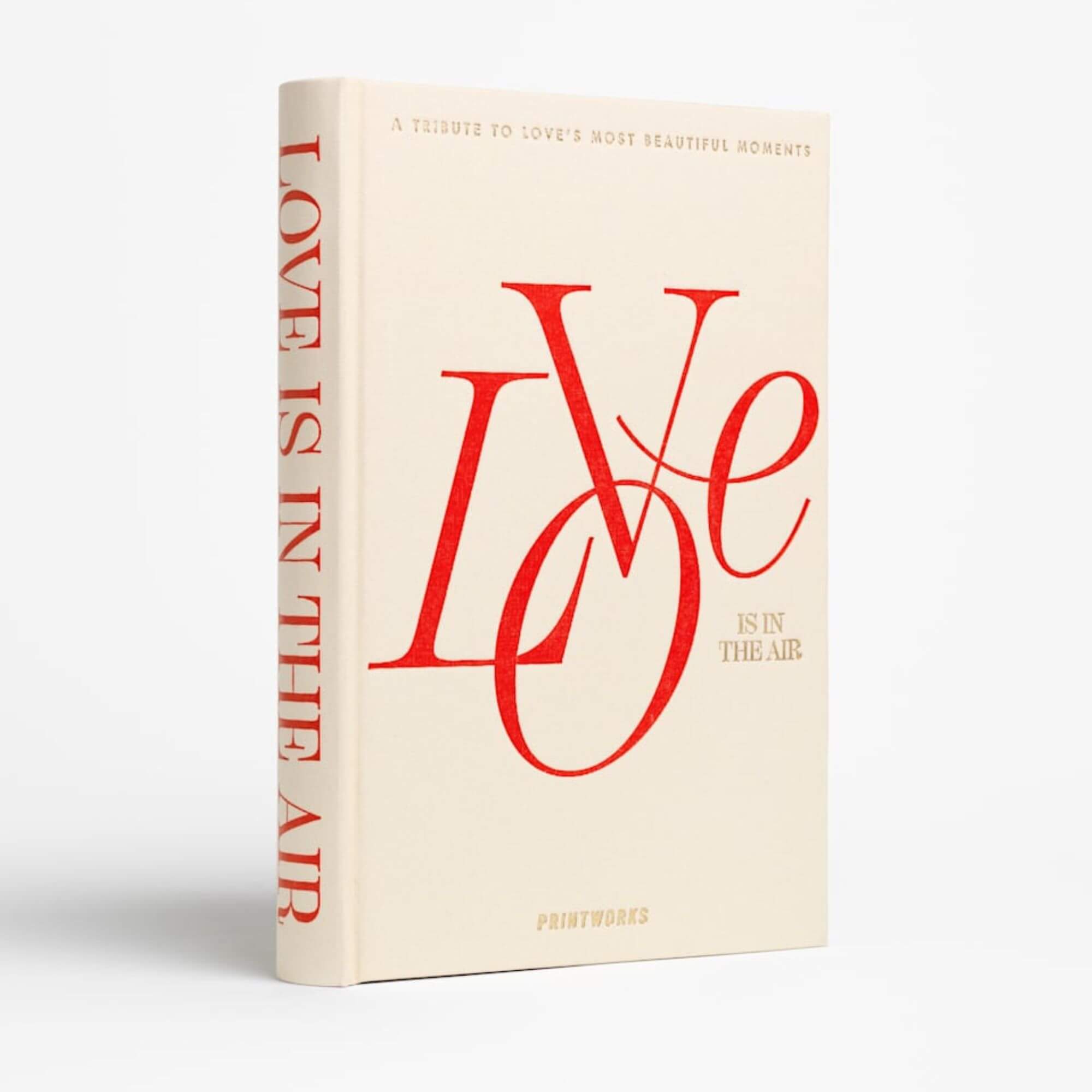 photo book - love is in the air 1 photo book - love is in the air