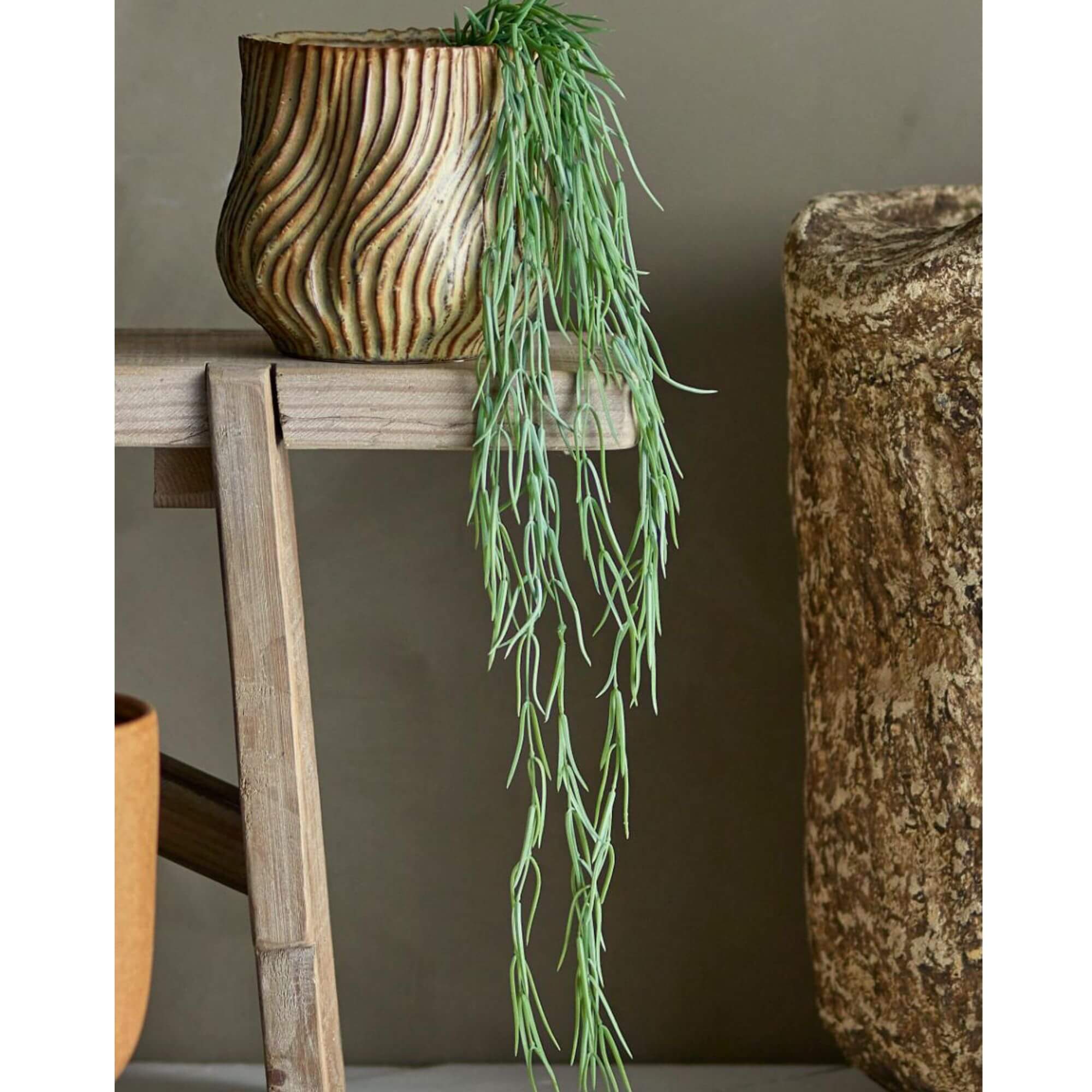 plante tilandsia - ø 10 x h 110 cm 2 plante tilandsia - ø 10 x h 110 cm – image 2