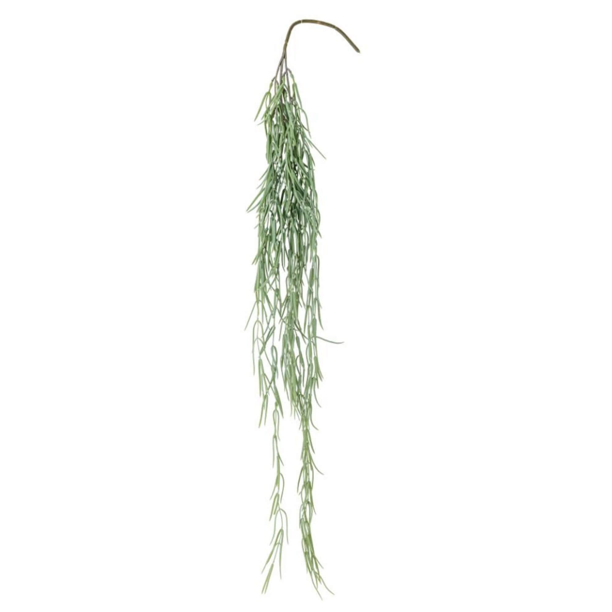 plante tilandsia - ø 10 x h 110 cm 1 plante tilandsia - ø 10 x h 110 cm