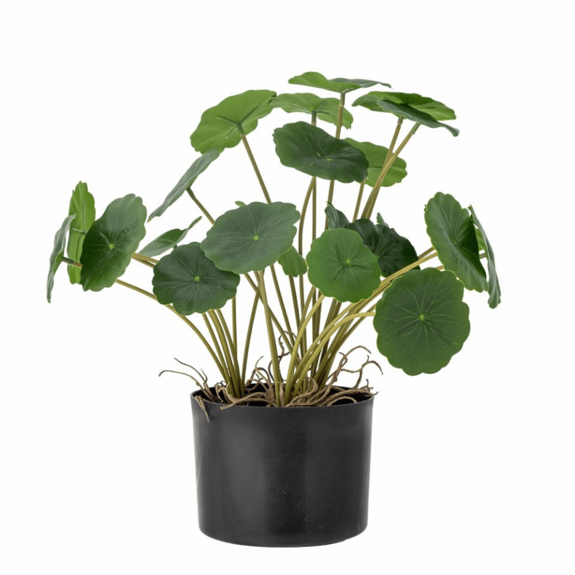 plante artificielle copper - ø 11,5 x h 30,5 cm 1 plante artificielle copper - ø 11,5 x h 30,5 cm