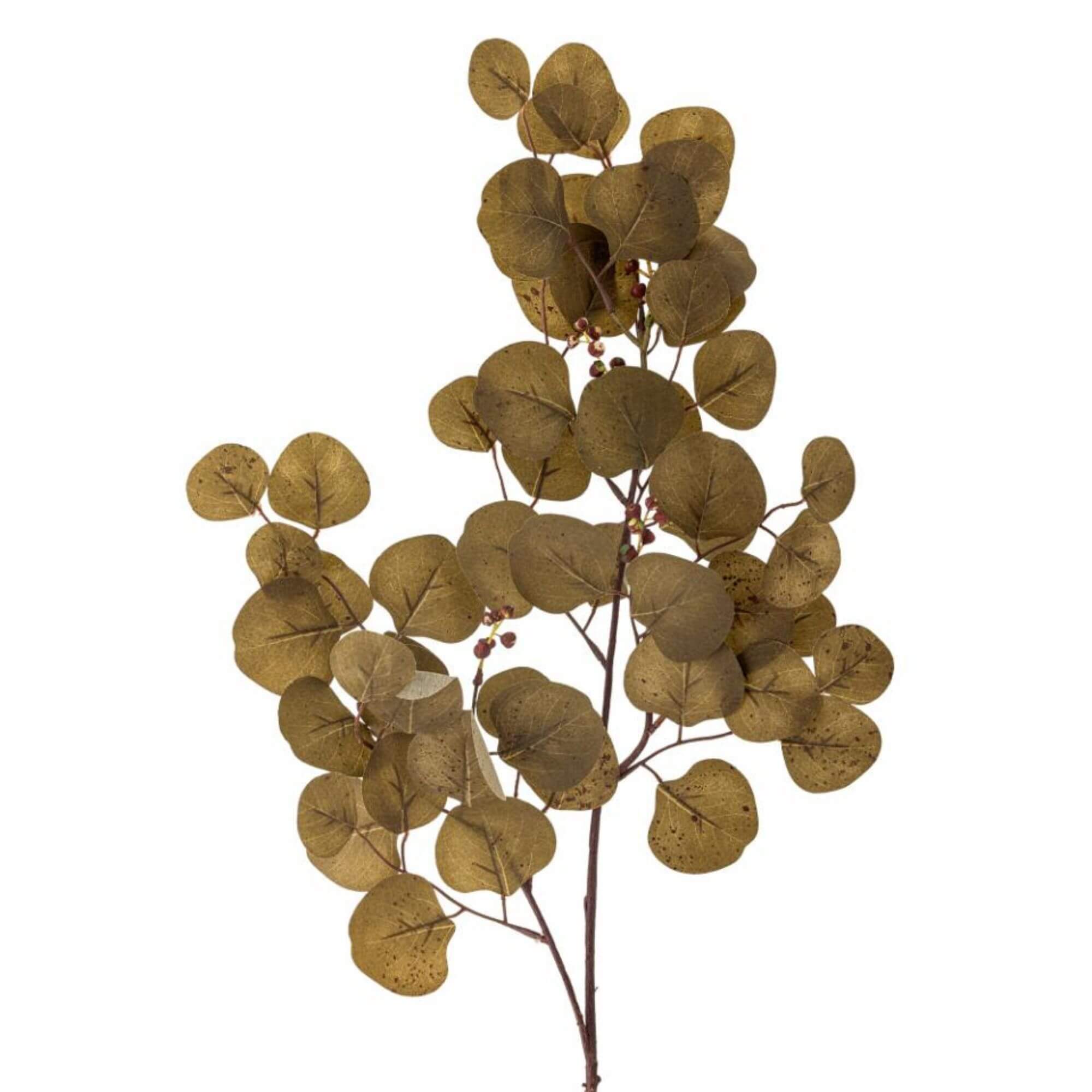 tige eucalyptus - ø 29 x h 86 cm 3 tige eucalyptus - ø 29 x h 86 cm – image 3