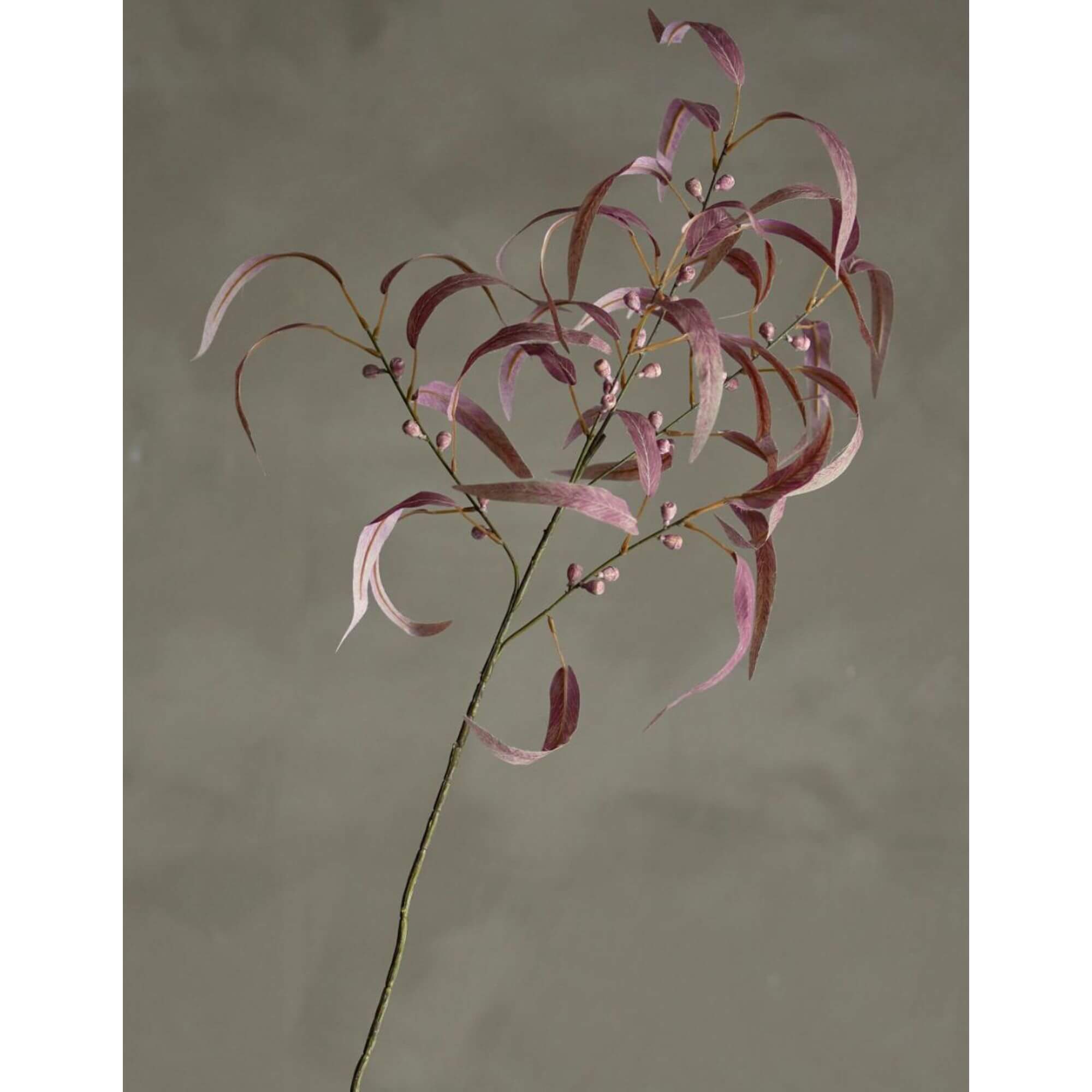 tige eucalyptus red - ø 35 x h 100 cm 2 tige eucalyptus red - ø 35 x h 100 cm – image 2