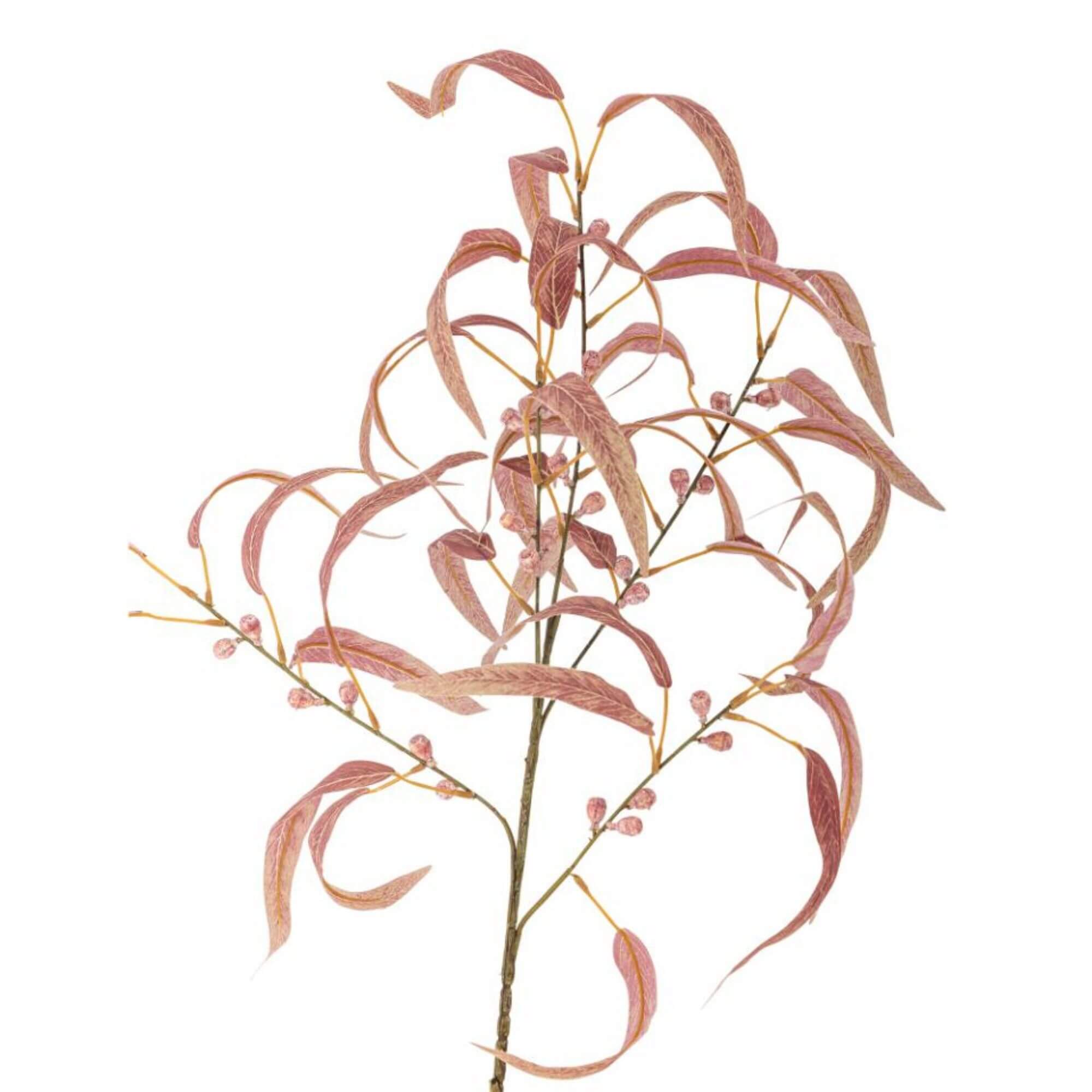 tige eucalyptus red - ø 35 x h 100 cm 3 tige eucalyptus red - ø 35 x h 100 cm – image 3