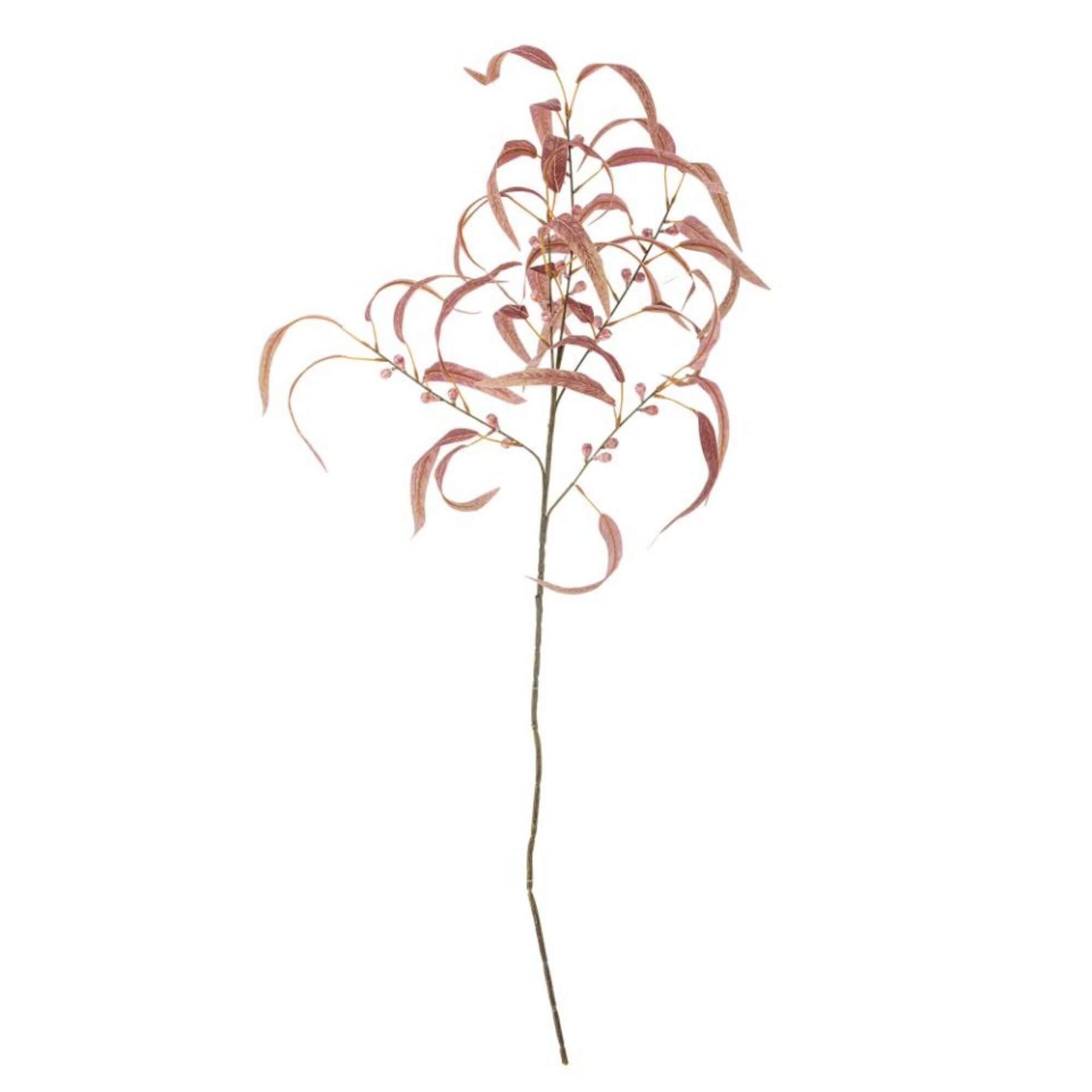 tige eucalyptus red - ø 35 x h 100 cm 1 tige eucalyptus red - ø 35 x h 100 cm