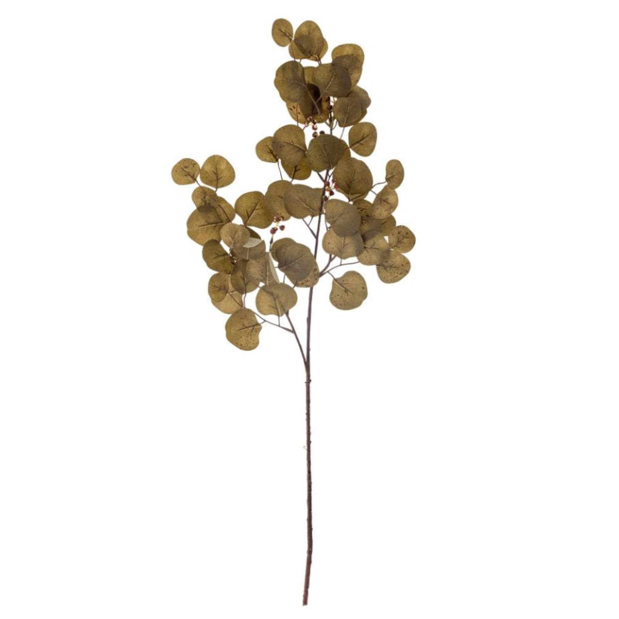 tige eucalyptus - ø 29 x h 86 cm 1 tige eucalyptus - ø 29 x h 86 cm