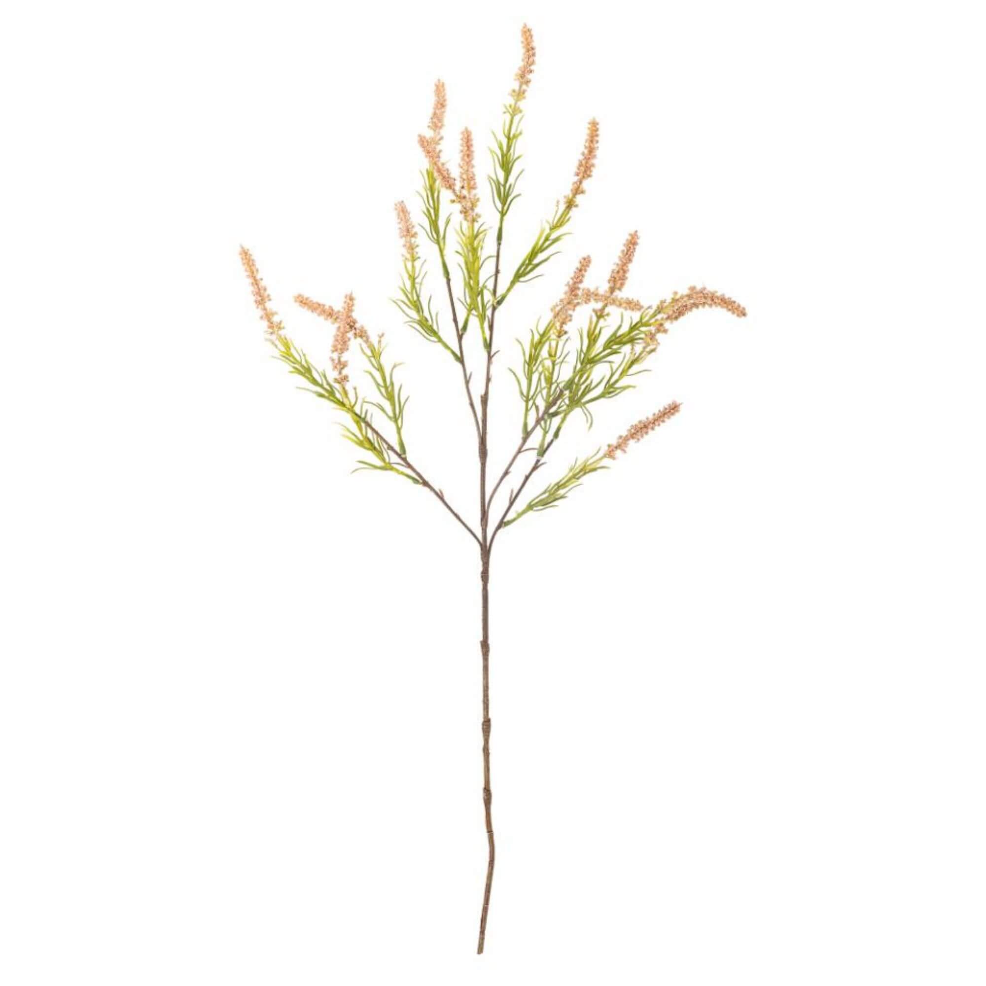 tige foxtail - rose - ø 25 x h 76 cm 4 tige foxtail - rose - ø 25 x h 76 cm – image 4