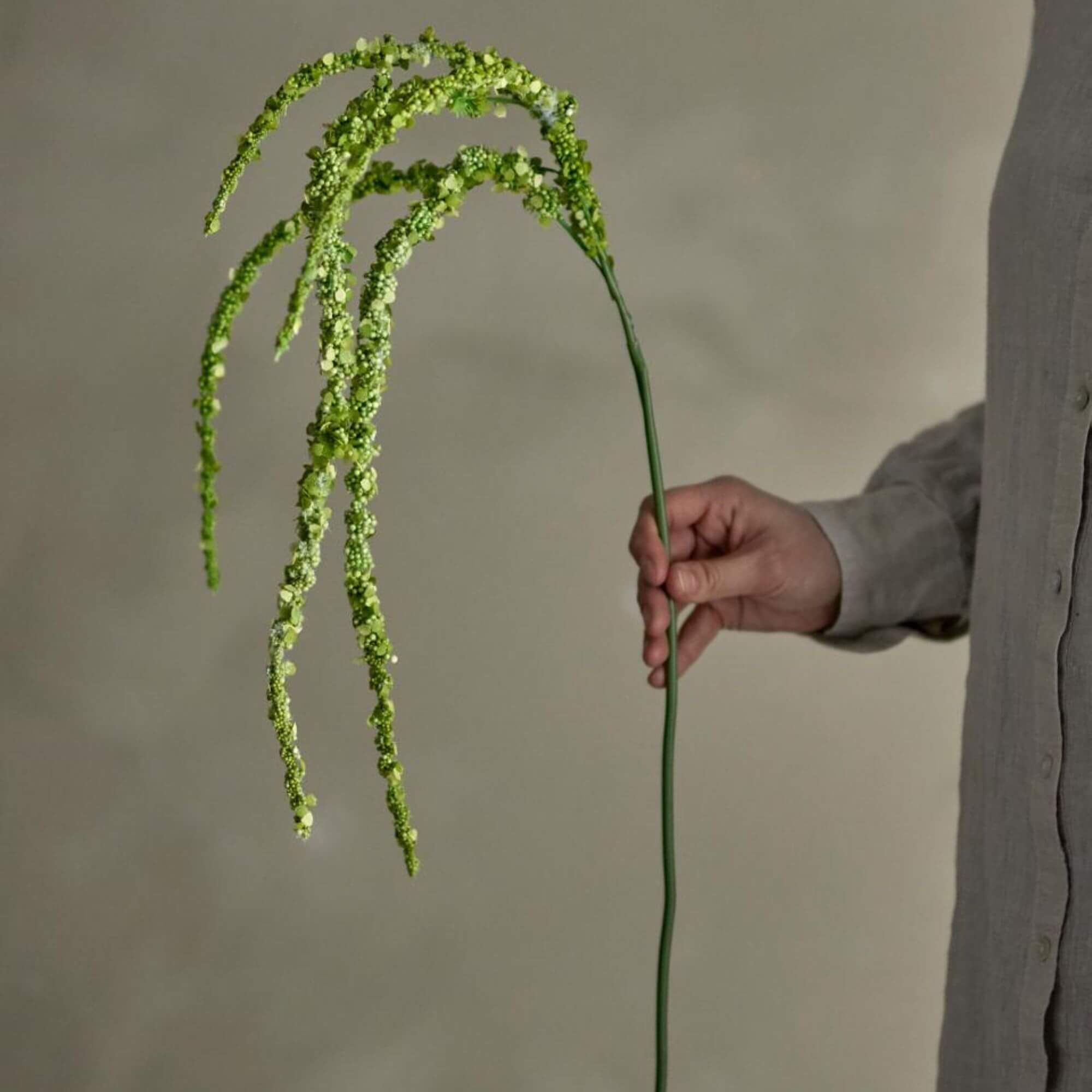 tige foxtail - vert - ø 13 x h 107 cm 5 tige foxtail - vert - ø 13 x h 107 cm – image 5
