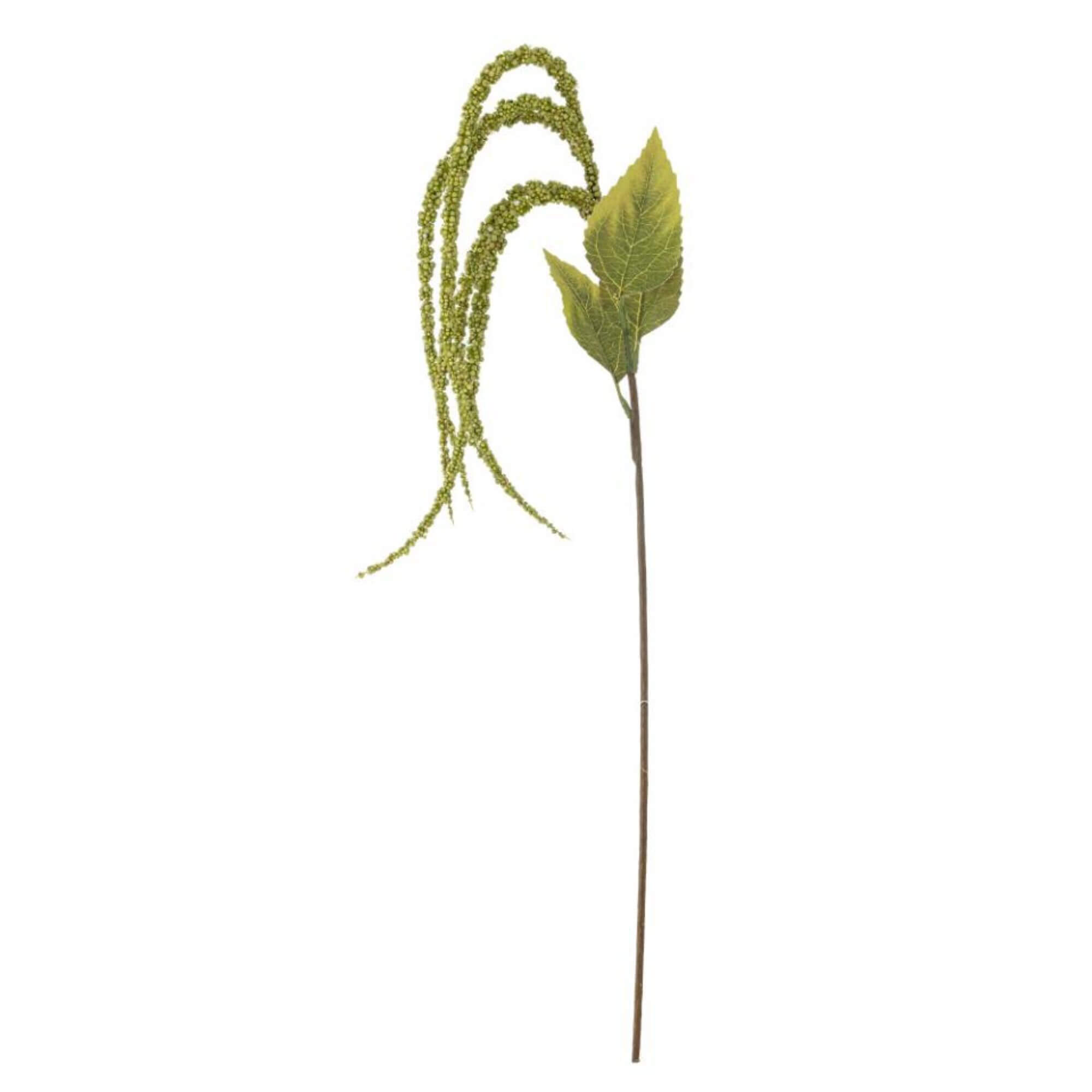 tige foxtail - vert - ø 13 x h 107 cm 6 tige foxtail - vert - ø 13 x h 107 cm – image 6