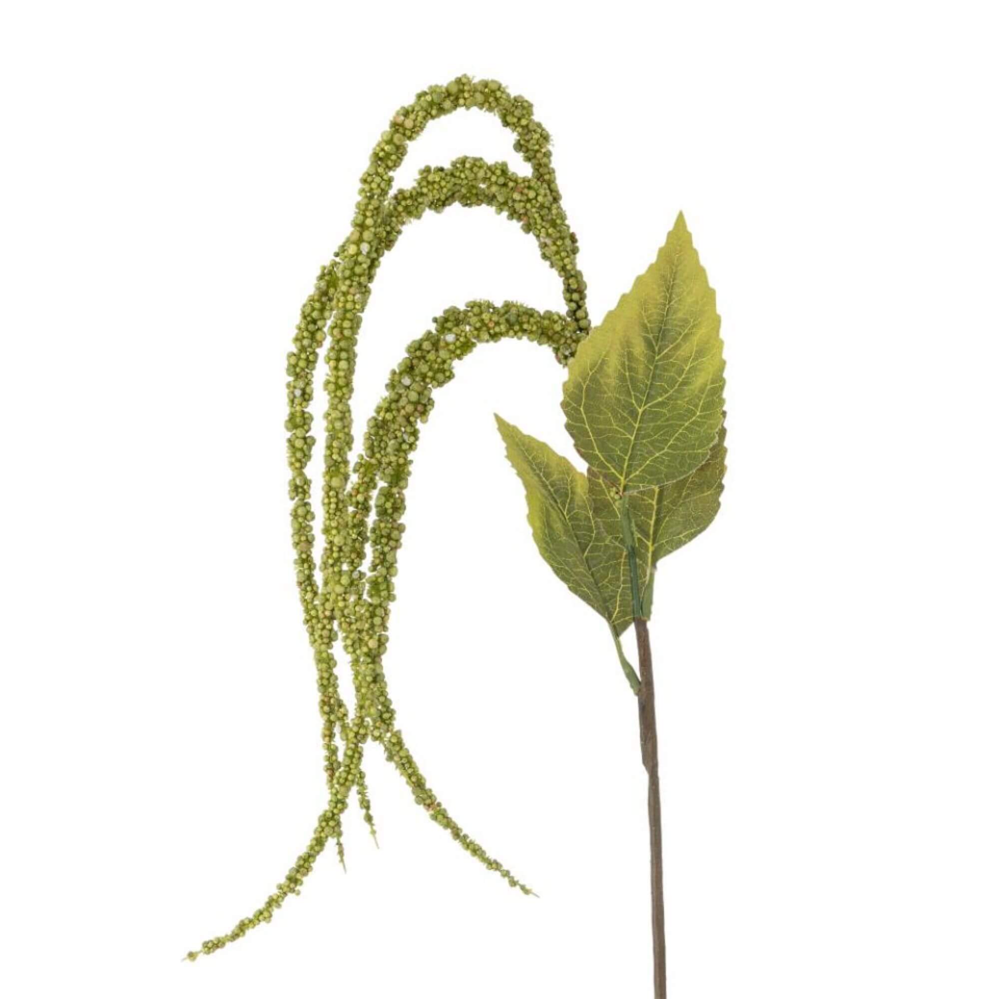 tige foxtail - vert - ø 13 x h 107 cm 1 tige foxtail - vert - ø 13 x h 107 cm