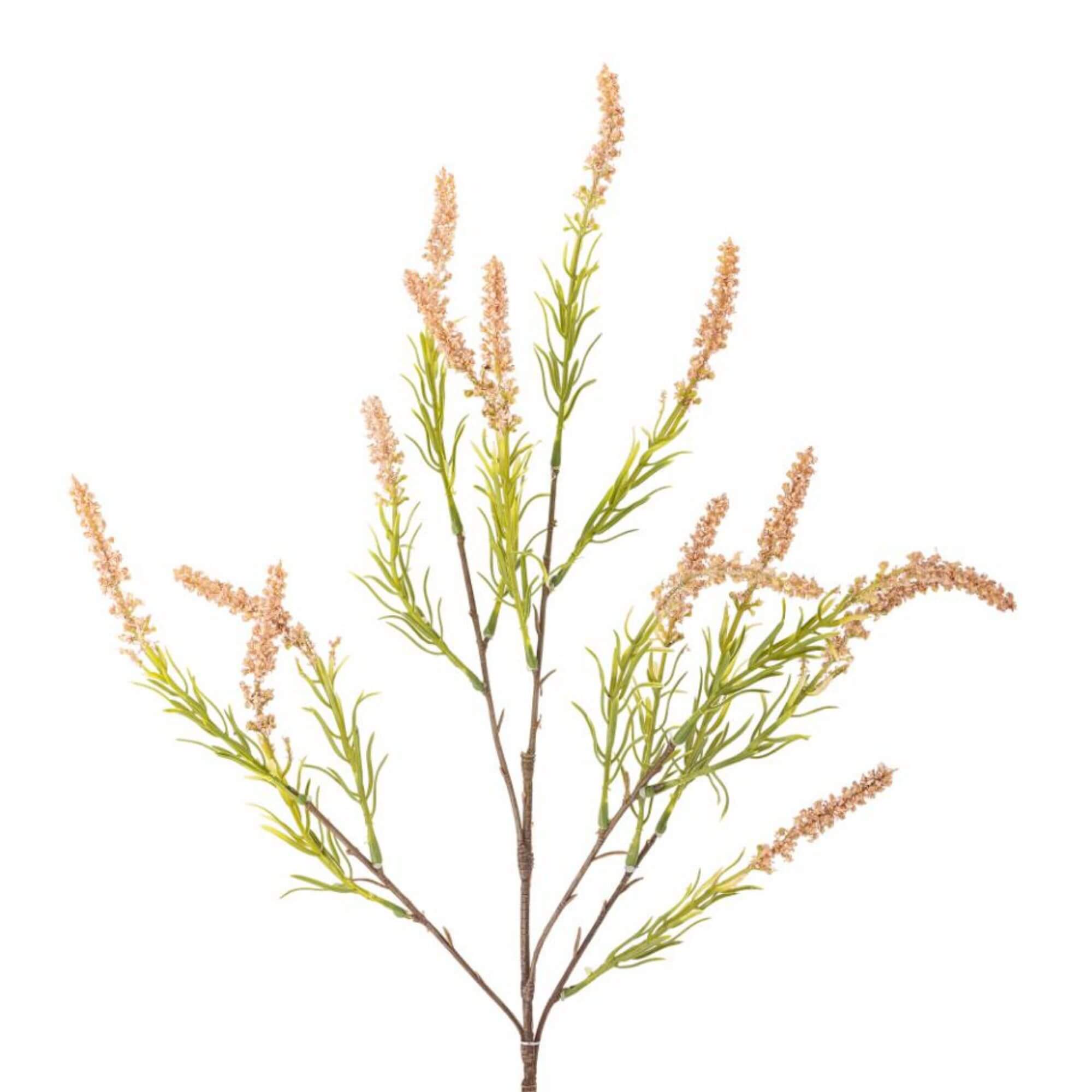 tige foxtail - rose - ø 25 x h 76 cm 1 tige foxtail - rose - ø 25 x h 76 cm