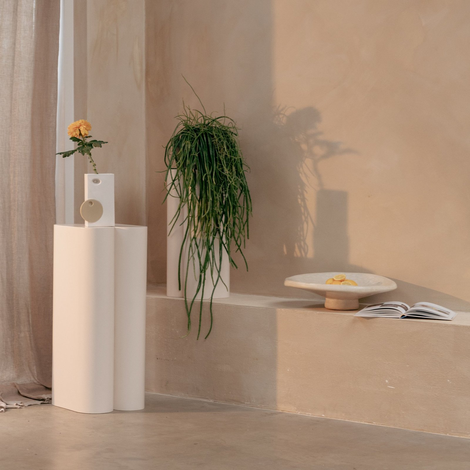 supports pour plantes shape – lot de 2 5 supports pour plantes shape